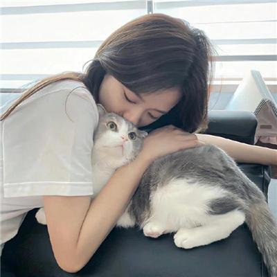 少女骑士物语